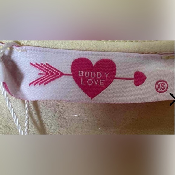 Buddy Love Metallic Floral Puff Sleeve Top XS NWT | Bachelorette Spring Party - Picture 2 of 5